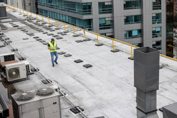 Best Roof Coating and Sealing  in Jackson, WY
