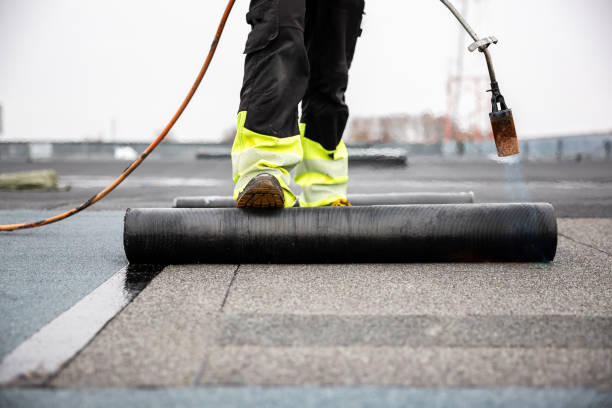 Best Gutter Installation and Repair  in Jackson, WY